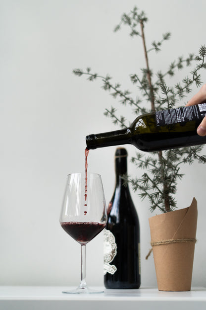 Santaste's Kerst Wijnbox - Proef, Leer & Geniet Thuis